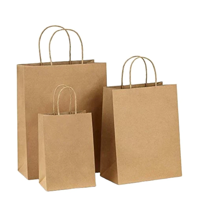 2: Twisted Handle Paper Bags 2: Twisted Handle Paper Bags